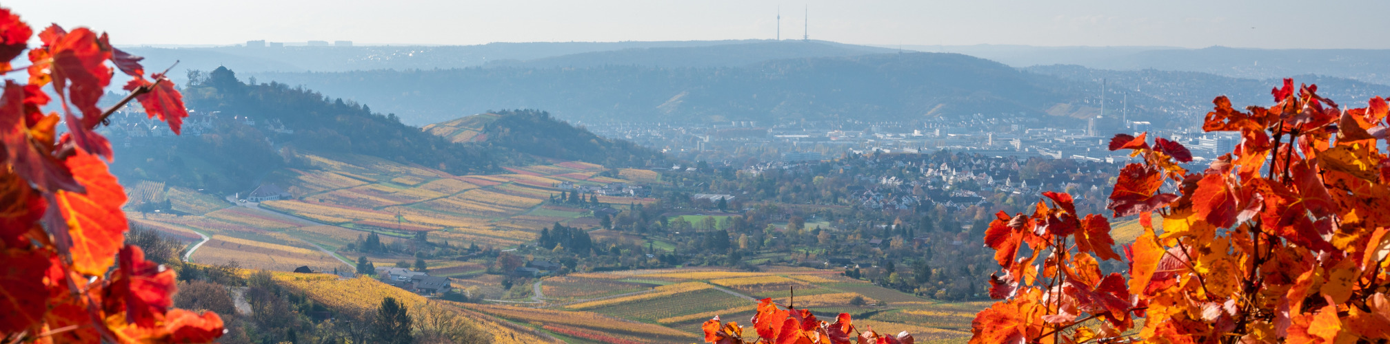Waiblingen Header